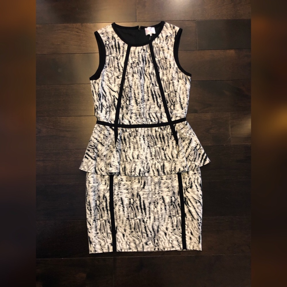 Parker fit and flare black and white print dress
